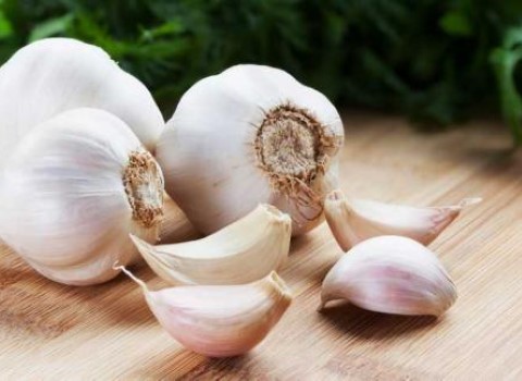 تصویر 4 از قیمت خرید سیر صادراتی همدان + فروش ویژه
